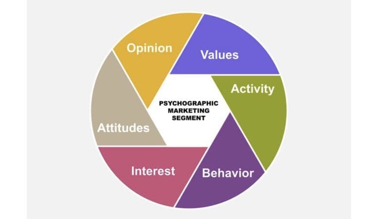 psychographic market segmentation